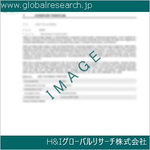 グローバルリサーチ調査資料のイメージ